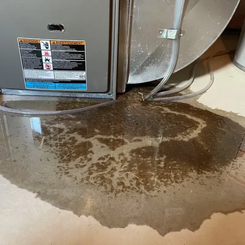 Appliance Leak Cleanup in Jeffersonville, GA